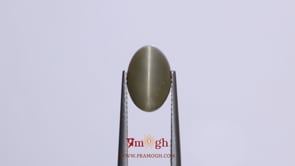 Catseye - 4.75 Carat