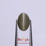 Catseye - 4.75 Carat