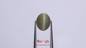 Catseye - 4.35 Carat