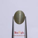 Catseye - 4.35 Carat