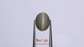 Catseye - 4.3 Carat