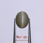 Catseye - 4.3 Carat