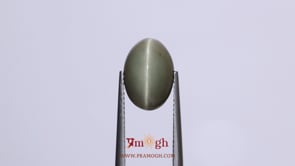 Catseye - 6.3 Carat