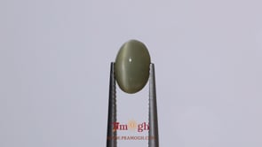 Catseye - 3.5 Carat