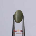Catseye - 3.5 Carat