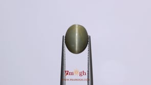 Catseye - 4.03 Carat
