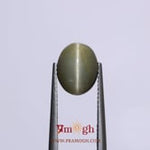 Catseye - 4.03 Carat