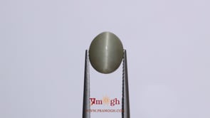 Catseye - 4.8 Carat