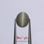 Catseye - 4.8 Carat