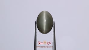 Catseye - 7.35 Carat