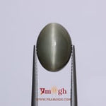 Catseye - 7.35 Carat