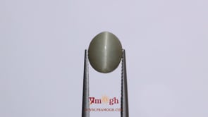 Catseye - 5.7 Carat