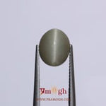 Catseye - 5.7 Carat