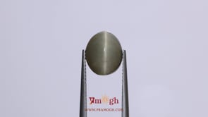 Catseye - 5.85 Carat