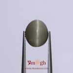 Catseye - 5.85 Carat