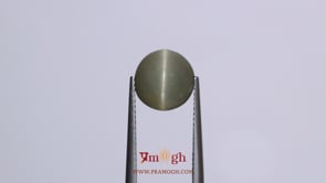 Catseye - 3.7 Carat