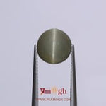 Catseye - 3.7 Carat