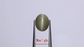 Catseye - 4.75 Carat