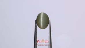 Catseye - 3.7 Carat