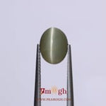 Catseye - 3.7 Carat