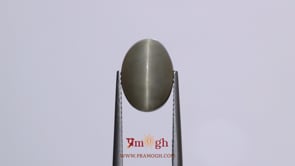 Catseye - 7.35 Carat