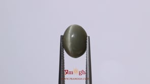 Catseye - 4.75 Carat