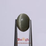 Catseye - 4.75 Carat