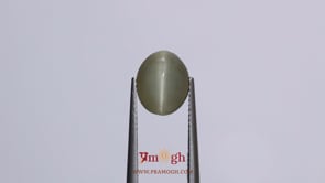 Catseye - 3.95 Carat