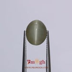 Catseye - 3.95 Carat