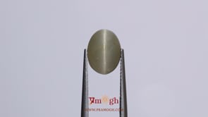Catseye - 3.6 Carat