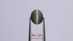 Catseye - 4.7 Carat