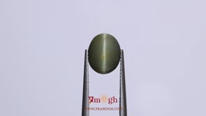 Catseye - 3.6 Carat