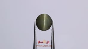 Catseye - 4.2 Carat