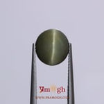 Catseye - 4.2 Carat