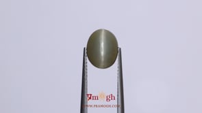 Catseye - 4.25 Carat