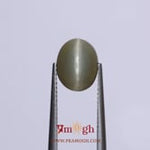 Catseye - 4.25 Carat