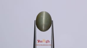 Catseye - 7.2 Carat