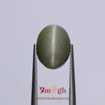 Catseye - 7.2 Carat