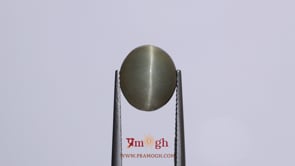 Catseye - 6.05 Carat