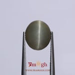 Catseye - 6.05 Carat