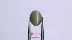 Catseye - 4.65 Carat