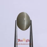 Catseye - 4.65 Carat