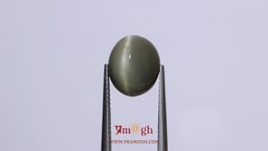 Catseye - 7.2 Carat