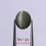 Catseye - 7.2 Carat