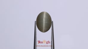 Catseye - 5.75 Carat