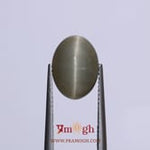 Catseye - 5.75 Carat