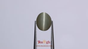 Catseye - 4.8 Carat