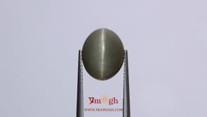Catseye - 8.2 Carat