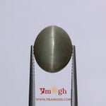 Catseye - 8.2 Carat
