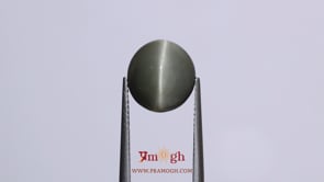 Catseye - 6.65 Carat